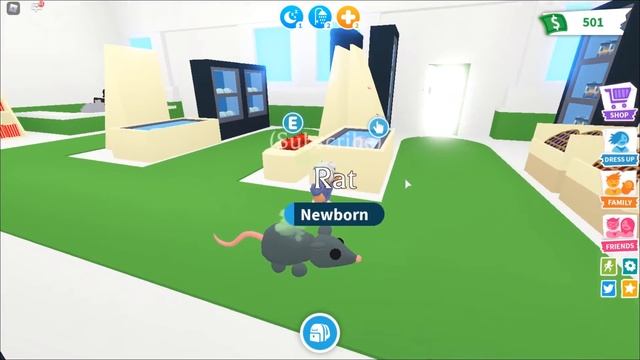 how to DOUBLE YOUR BUCKS in Adopt Me! ? GET RICH FAST! Roblox Adopt Me смотреть онлайн
