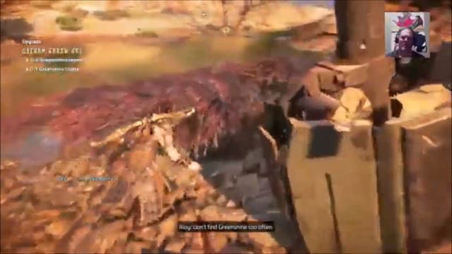 HORIZON 2 forbidden WEST ps4 slim gameplay live stream pt18 смотреть онлайн
