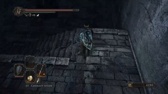Dark Souls 2 - #12. Забытая крепость + босс - Стражи руин. смотреть онлайн