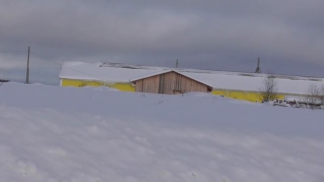 Живём в деревне где кругом тайга. Что там на улице. смотреть онлайн