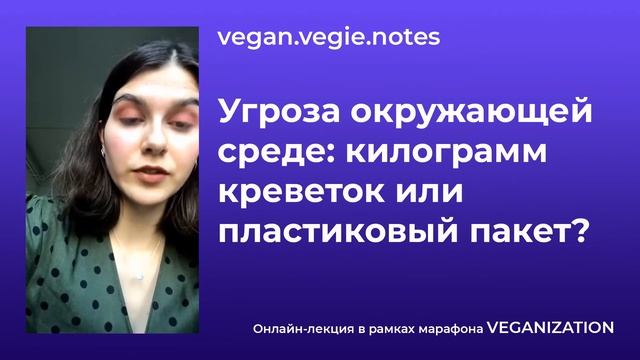 Угроза окружающей среде: килограмм креветок или пластиковый пакет?⠀ смотреть онлайн