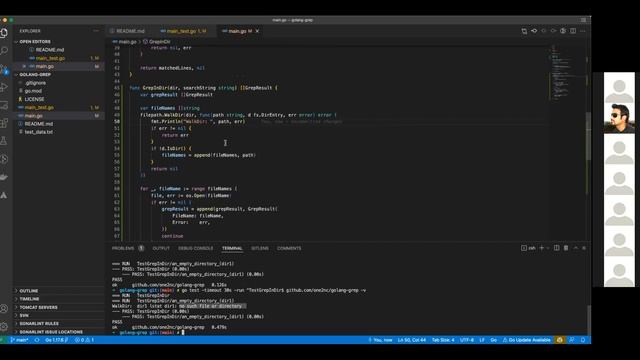 Building grep in Golang using Test Driven Development Part 6 смотреть онлайн