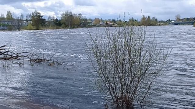 видео про весенний день река и поле смотреть онлайн