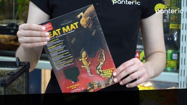 Содержание Пятнистого эублефара смотреть онлайн