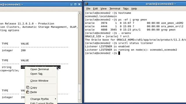Oracle db_files increase RAC смотреть онлайн