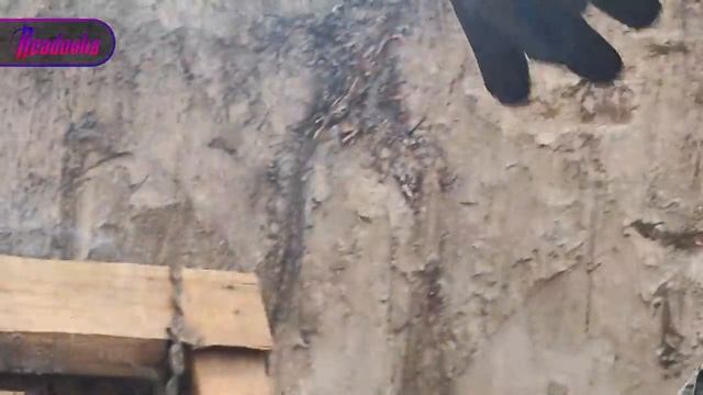 удержавшие лиман.