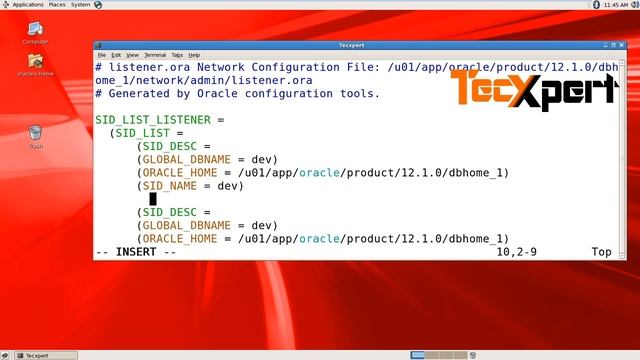 ORA-12154: TNS:could not resolve the connect identifier specified. [solved] смотреть онлайн
