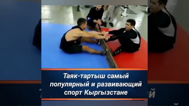 Самый развивающий спорт в мире спарринги по масрестлингу самые сильные парни в спорт зале! смотреть онлайн