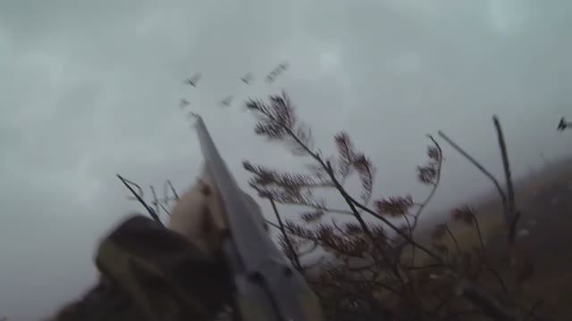 Осенняя охота на гуся. На болоте Р. Коми.