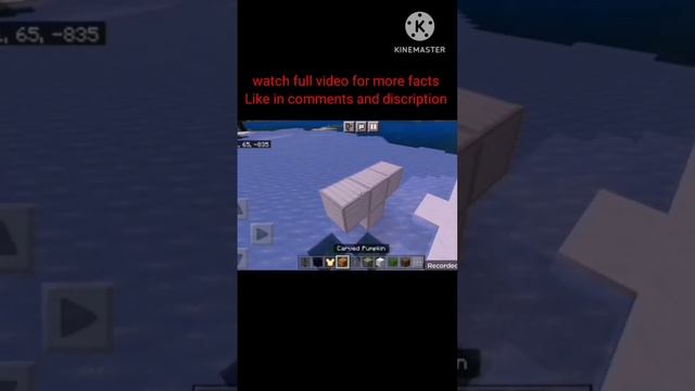 Amazing Minecraft 1.19.50 PE or Bedrock Facts you need to know смотреть онлайн