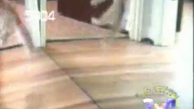 Забавные коты смотреть онлайн