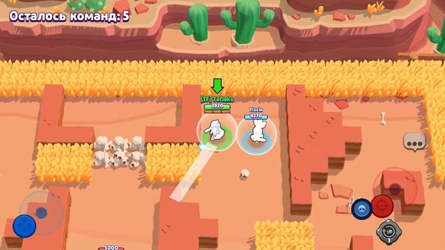 ОТКРЫЛ НОВЫЙ СЕКРЕТНЫЙ БОКС А ТАМ... ВЫПАЛ СЕКРЕТНЫЙ БРАВЛЕР С 1 СУНДУКА В BRAWL STARS! смотреть онлайн