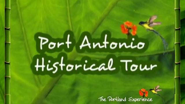 Port Antonio, Jamaica - Things To See & Do! смотреть онлайн