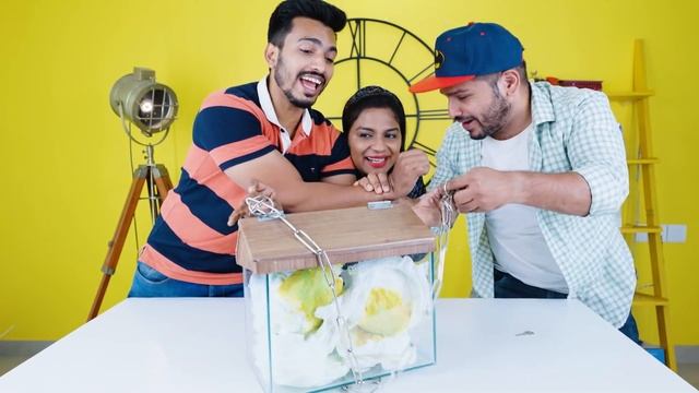 Choose The Right Key Challenge | Funny Challenge | Hungry Birds смотреть онлайн