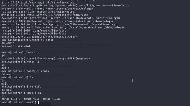 squirrel - Hackerenv смотреть онлайн