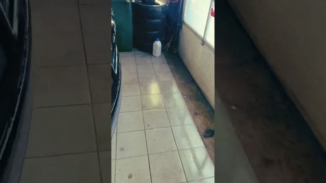 #антикоррозийнаяобработка #антикор #car #auto #havaljolion смотреть онлайн