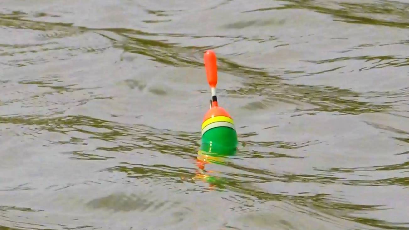 РЫБАЛКА НА ПОПЛАВОК В САМЫЙ РАЗГАР НЕРЕСТА. ГУСТЕРА, ВОБЛА И ДРУГАЯ РЫБА ЖАДНО КЛЮЮТ НА ЧЕРВЯ. смотреть онлайн