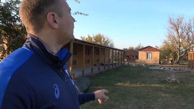 Итоги октября. Голуби рекордсмены и общее время налета каждого смотреть онлайн