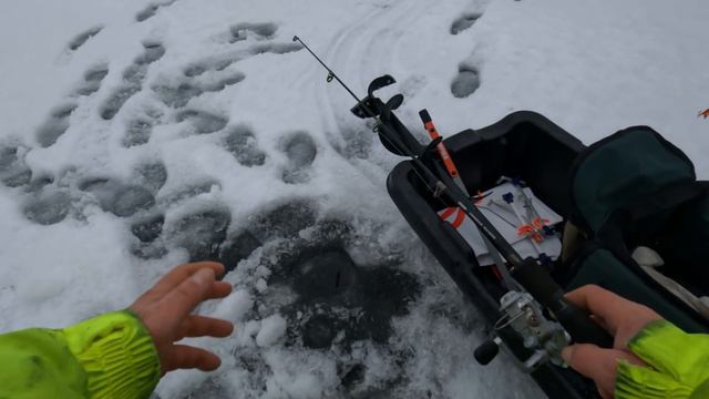 Piękny Okoń Wędkarstwo Podlodowe 2024 - Spod lodu w zimie - Ice Fishing - Pierwszy Lód смотреть онлайн