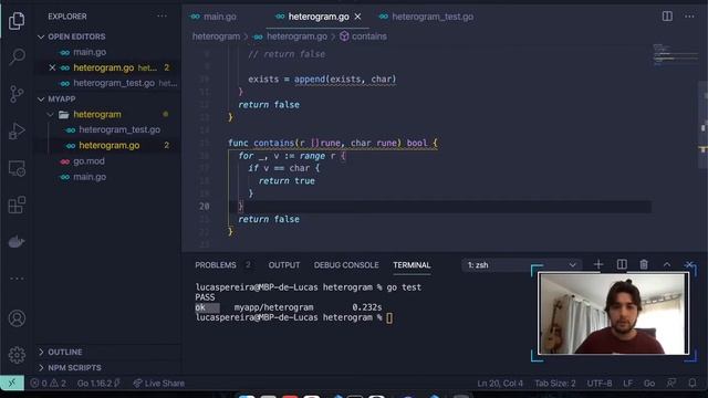 Implementing Testing in Golang смотреть онлайн