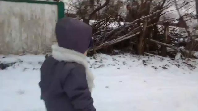 Привезли дрова,доски, вернулись домой