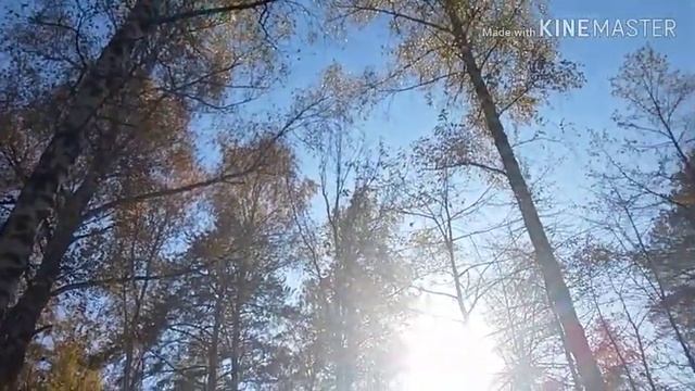 Октябрь уж наступил. И слышу вновь я голоса великих... смотреть онлайн