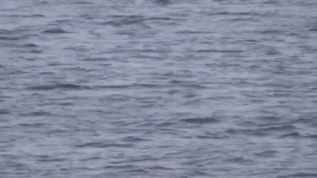 БЕЛАРУСЬ - НЕСЧАСТНЫЕ ЛЮДИ - ВИТЕБСК читает Денис Витрук смотреть онлайн