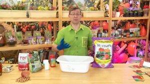 КОНСУЛЬТАНТ САДОВОДА 287