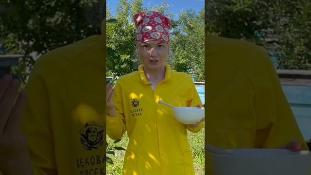 Приметы в МЕДОВЫЙ спас 🍯 смотреть онлайн