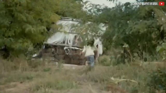 6 ноября 2022 г. смотреть онлайн