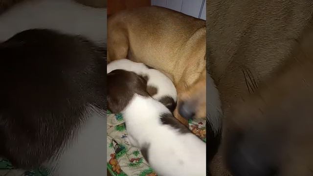 Мушкетёры смотреть онлайн