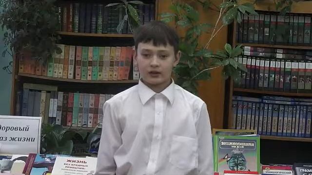 Страна читающая - Слон и Моська Игнатов Богдан 4 класс МБОУ СОШ №2 г Николаевск-на-Амуре смотреть онлайн