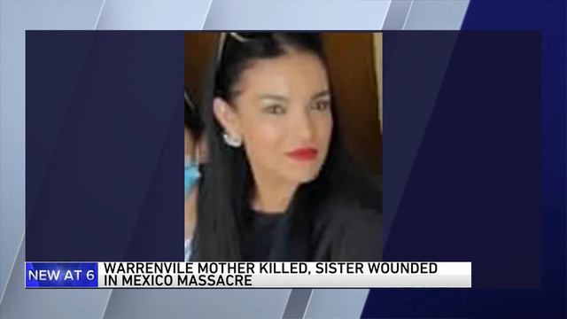 Chicago area mother among 20 killed after massacre at cock fight in Mexico; 16-year-old sister crit смотреть онлайн
