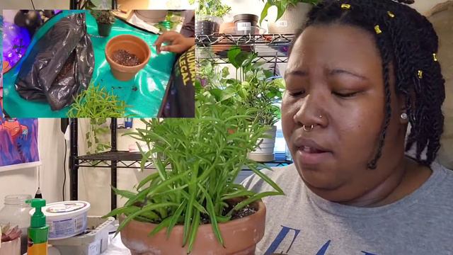 New Plants!!! | Growing Plant Collection