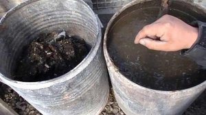 Куриный помет как удобрение как применять