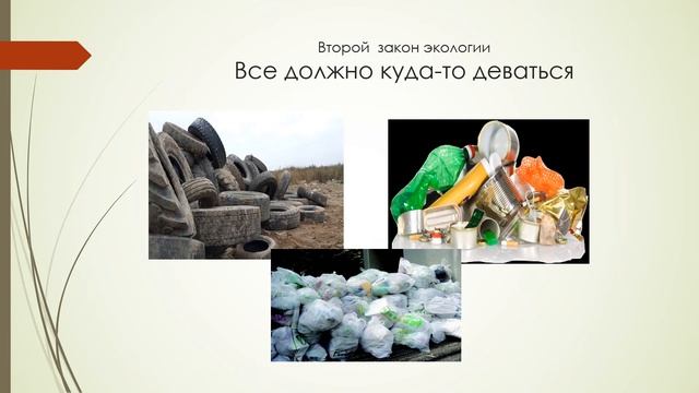 Законы экологии смотреть онлайн