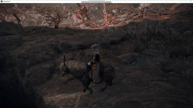 Elden Ring Где находится заброшенная пещера смотреть онлайн