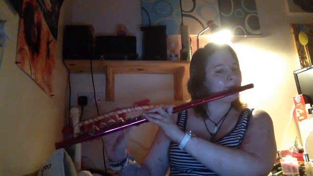 Within Temptation- Stand My Ground- Flute Cover смотреть онлайн