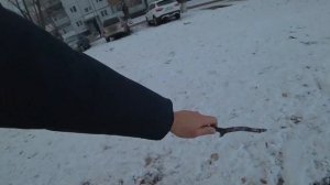 Морозная прогулка ДЖЕК РАССЕЛА. Будни Джек Рассел терьера.