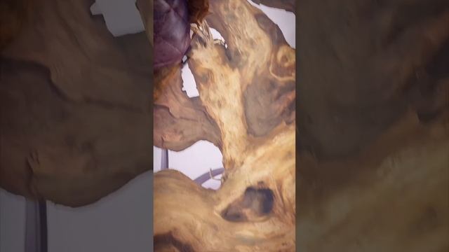 Сумка-сундучок и шпилька-каблучок идеальная пара для новогоднего образа❄️? #сумки2023 #сумки смотреть онлайн