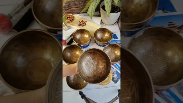 IKP 4 Кованая поющая чаша Etching Carving Premium цветок 16см, 279Гц, До диез (C#) смотреть онлайн