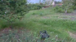 Хата на Тата/ ////Маму положили в больницу