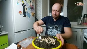 Простой способ выращивания грибов в домашних условиях//Мой первый опыт выращивания Вешенок с OZON