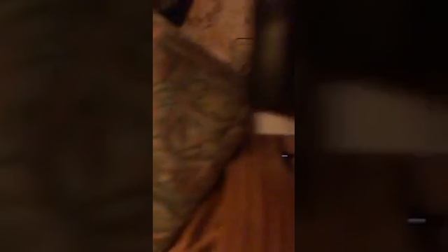 Defective game console 600.1 смотреть онлайн