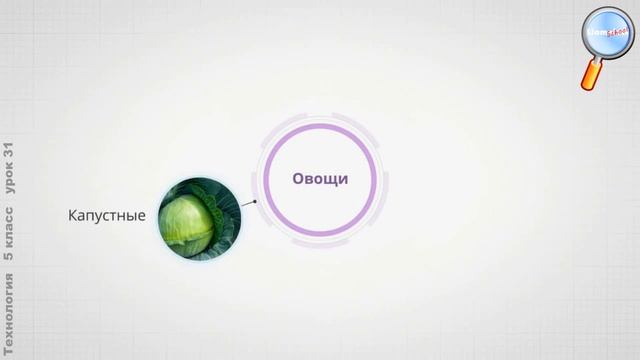 Технология 5 класс (Урок№31 - Культурные растения в жизнедеятельности человека.) смотреть онлайн