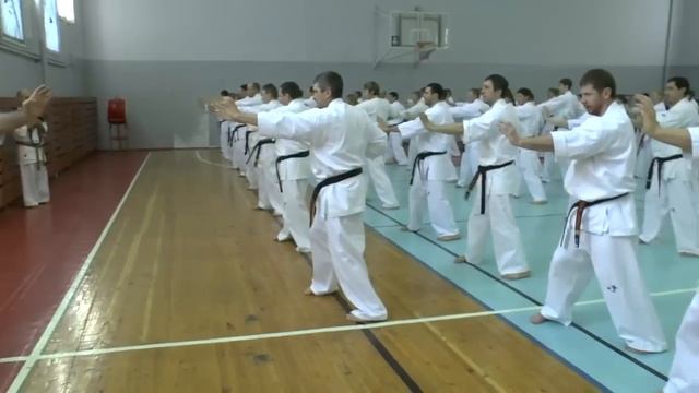 Сборы Артура Ованесяна в Перми 31.01.2014-01.02.2014 (первый день - старший поток) смотреть онлайн
