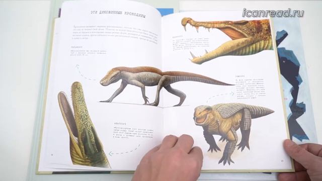 От тираннозавра к петуху! Большая книга об эволюции животного мира смотреть онлайн