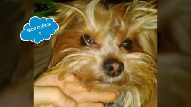 Дорогие мне люди смотреть онлайн