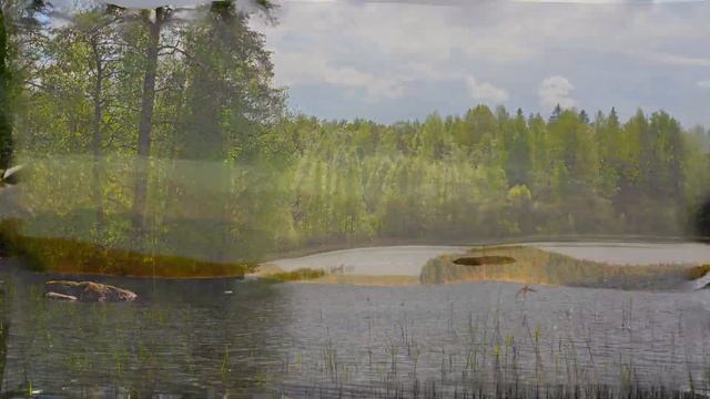 Пейзажные зарисовки на Карельском перешейке 4К смотреть онлайн