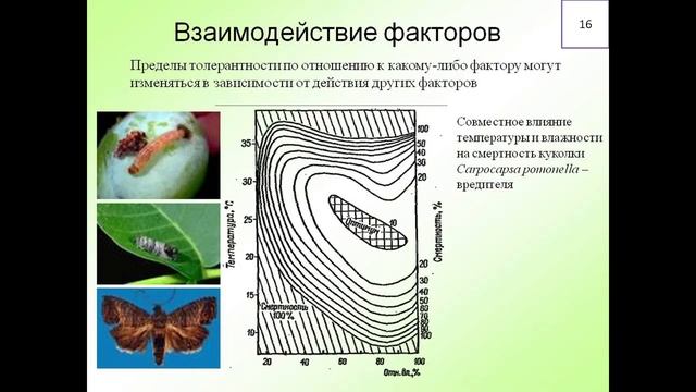 Законы экологии смотреть онлайн